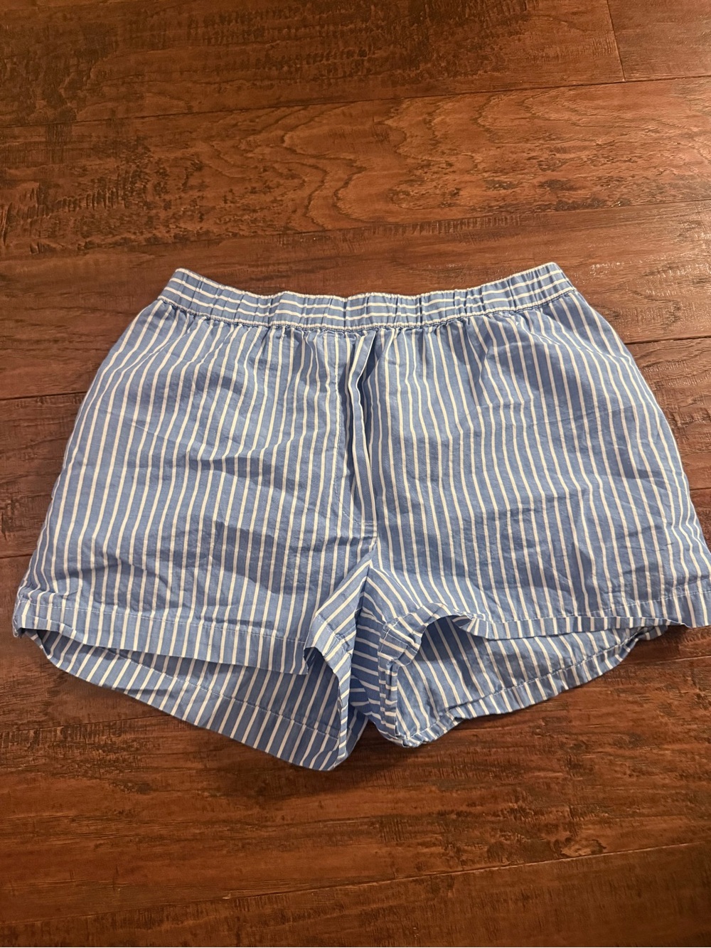 Aritzia Light Blue and White Striped Women’s Shorts